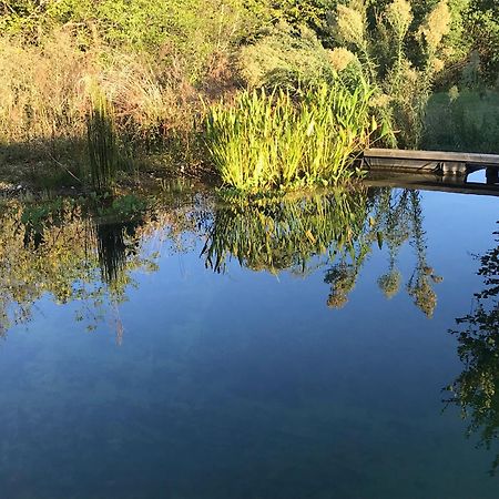 Ecolieu Le Chant Du Temps Bed and Breakfast Saint-Usuge Esterno foto
