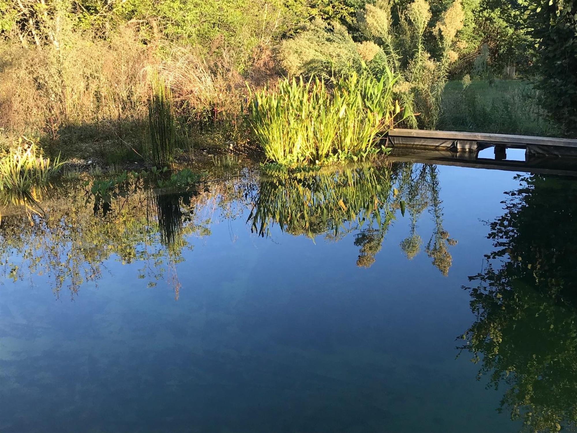Ecolieu Le Chant Du Temps Bed and Breakfast Saint-Usuge Esterno foto